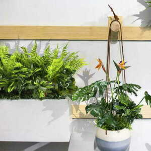 Nature Pride pot composition small 2