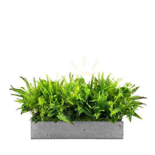 Check Nature Pride pot composition