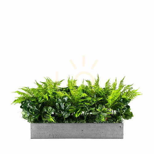 Check Green Designers Sunshine Spirit plant pot insert 25 × 50 cm