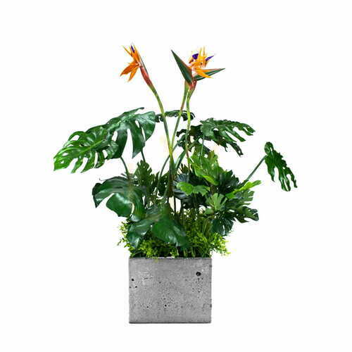 Check Sunrise plant pot insert