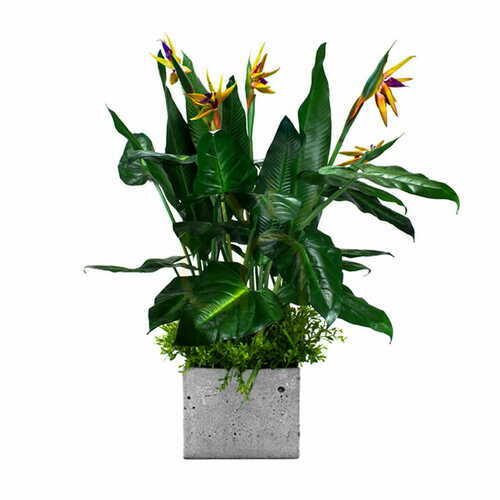 Check Green Designers Paradise Bird made-to-measure planter insert
