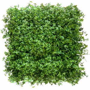 Green wall Lubricant 40x60cm small 2