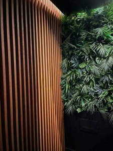 Chemaora vertical garden 8 Chemaora vertical garden small 8