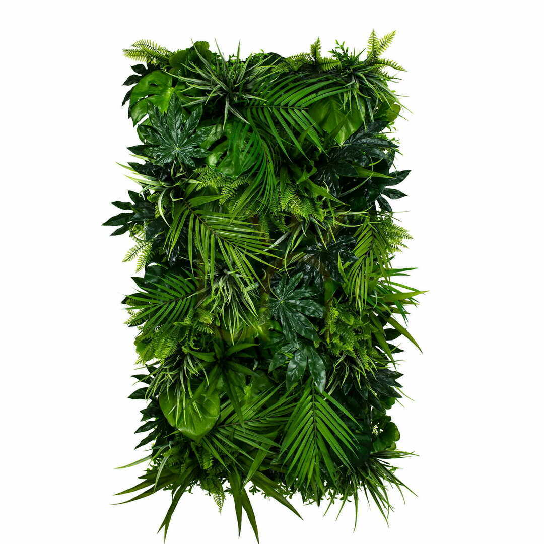 Check Chemaora vertical garden Chemaora vertical garden