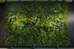 Vertical HANGING GARDENS 0,5 m² - Handmade small 5