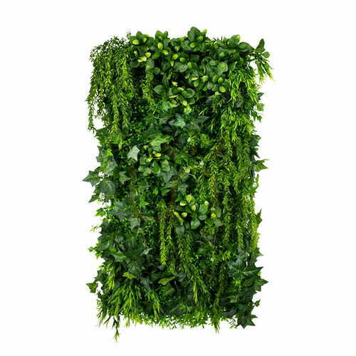 Check Green Ivy vertical garden