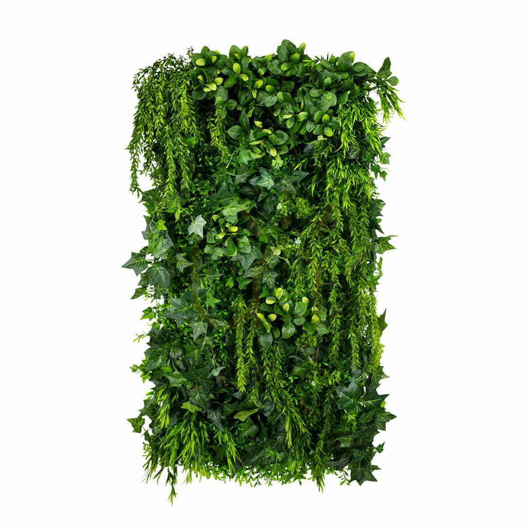 Check Green Ivy vertical garden Green Ivy vertical garden