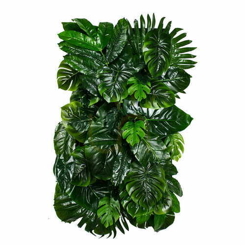 Check Monstera Madness vertical garden