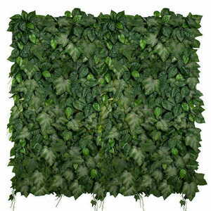 Ivylace vertical garden small 1