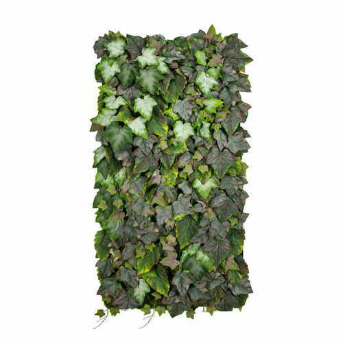 Check Chester vertical garden
