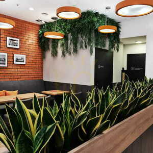Wildgrass FR UV vertical garden small 7