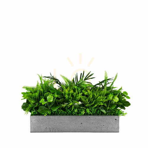 Check White Sparrow pot composition