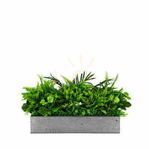 Green Designers White Sparrow GD 712 artificial plant insert for planters, 25 × 50 cm small 0