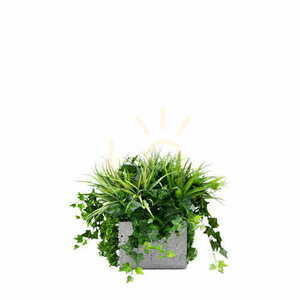Blue Jay plant pot filling small 0