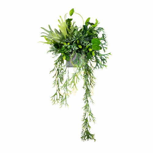 Check Goldfinch potting insert