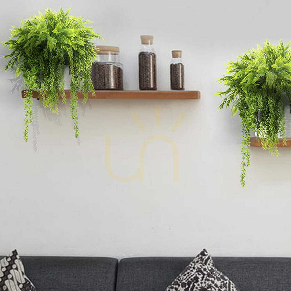 View Purple Crow plant pot filling Purple Crow plant pot filling