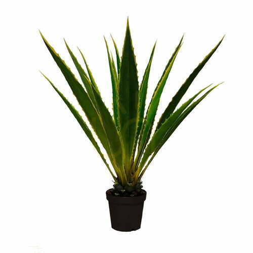 Check Agave Americana decorative plant 120cm