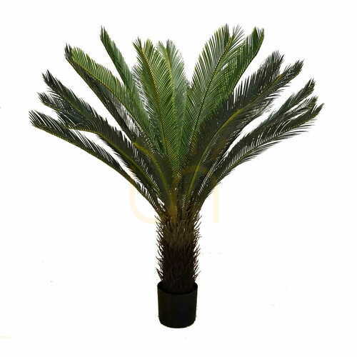 Check CYCAS DELUXE L GD4073 - height 120cm