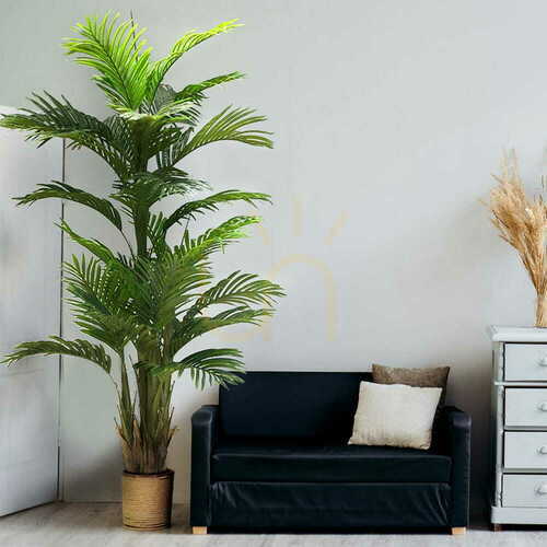 Check Artificial Ravenea Palm decorative tree 180cm