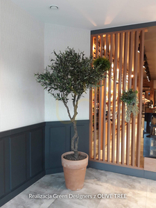 Artificial olive tree Olive 205cm small 2