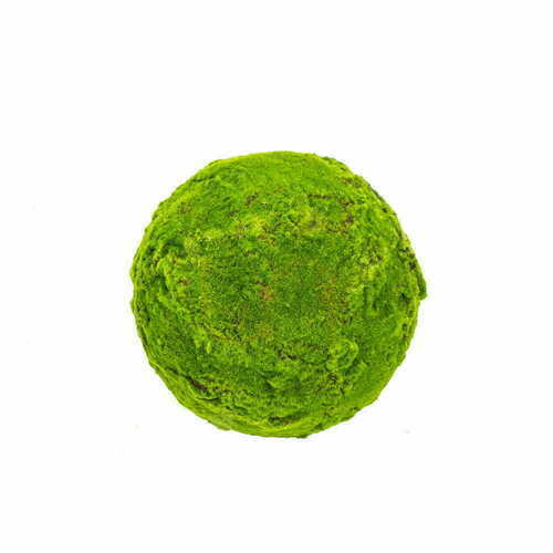 Check Moss Ball 35 cm