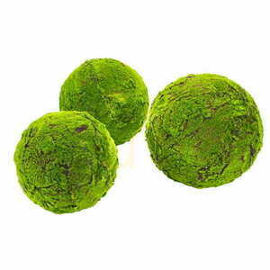 Large Moss Ball 45 cm small 1
