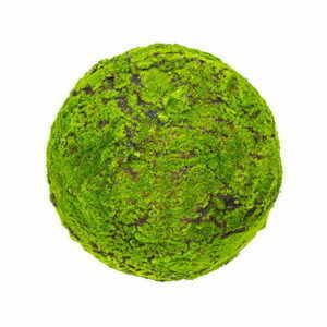 Large Moss Ball 45 cm small 0