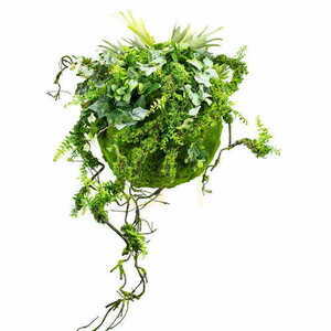 Decorative plant ball Moss Ball 45 cm - Handmade small 0