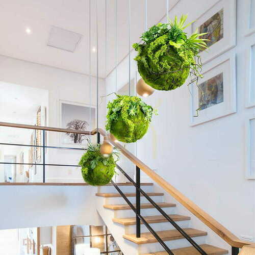 Check Moss Ball kokedama 25 cm