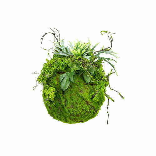 Check Moss Ball kokedama 25 cm