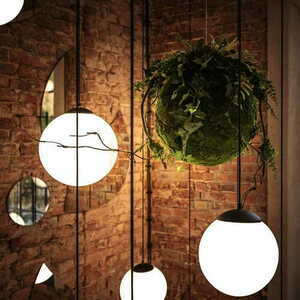 Kokedama Hanging Moss Ball 35cm small 2