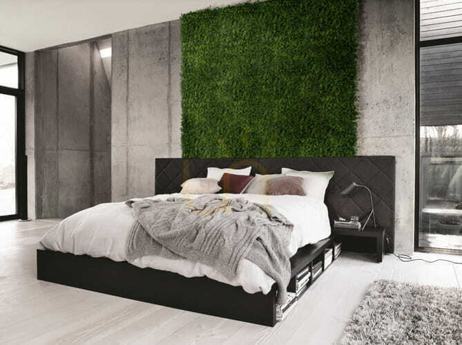 View Green Wall Hops 40x60cm Green Wall Hops 40x60cm