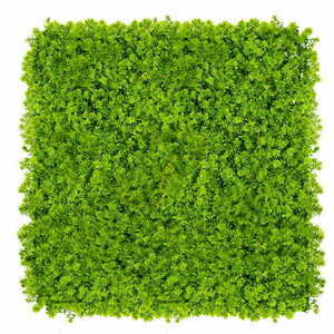 Green Wall Hops 40x60cm 0 Green Wall Hops 40x60cm small 0