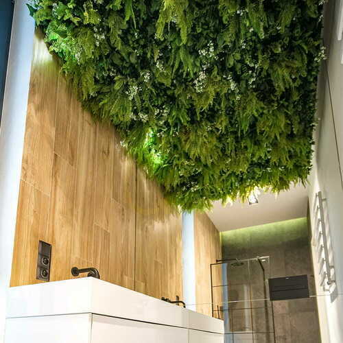Check White Daisy vertical garden