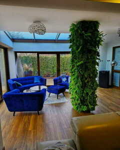 Mountain Pine vertical garden small 9