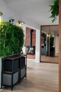 Limba Wilderness Vertical Garden 3 Limba Wilderness Vertical Garden small 3