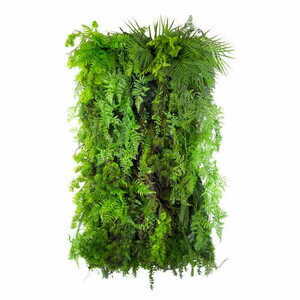 Limba Wilderness Vertical Garden 0 Limba Wilderness Vertical Garden small 0