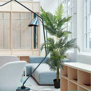 Decorative plant Palm Lutescens 180cm 1 Decorative plant Palm Lutescens 180cm small 1