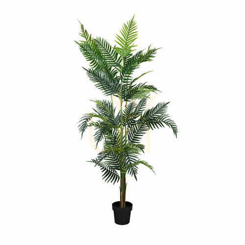 Check Decorative plant Palm Lutescens 180cm
