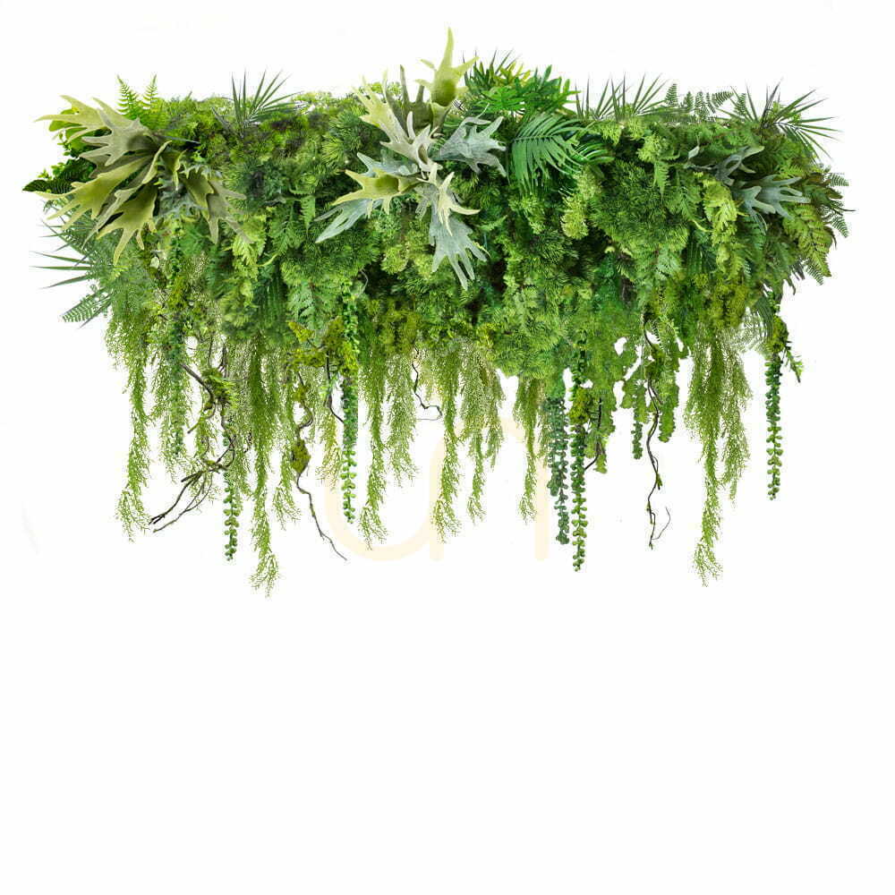 Check Forest Scent S plant hoop Forest Scent S plant hoop