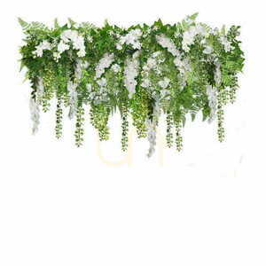 Wisteria White S plant hoop 0 Wisteria White S plant hoop small 0