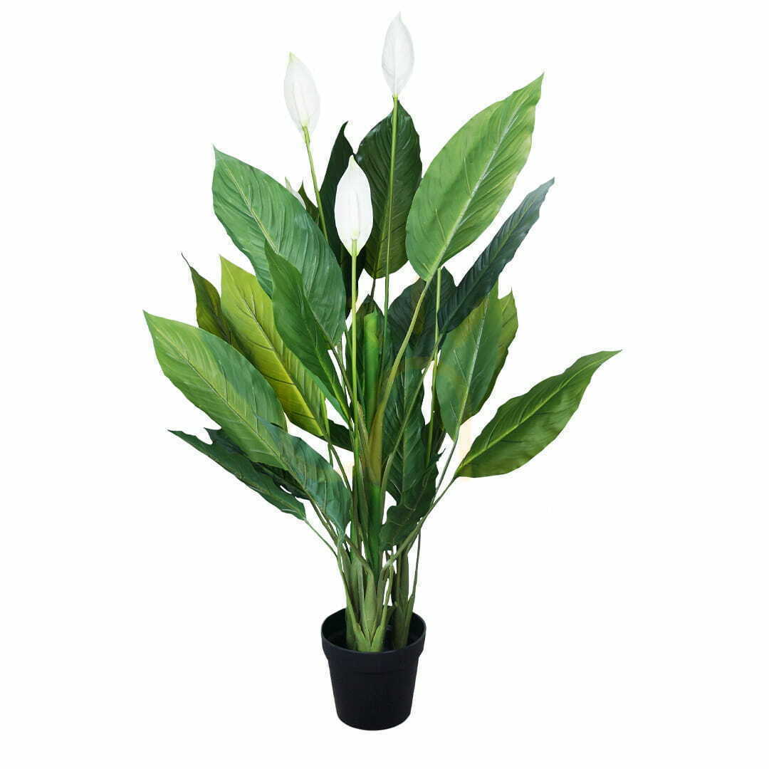 Decorative plant Wingflower 120cm