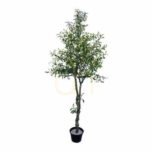 Check Artificial 🌳 olive tree 🌳 olive tree 210cm - Premium