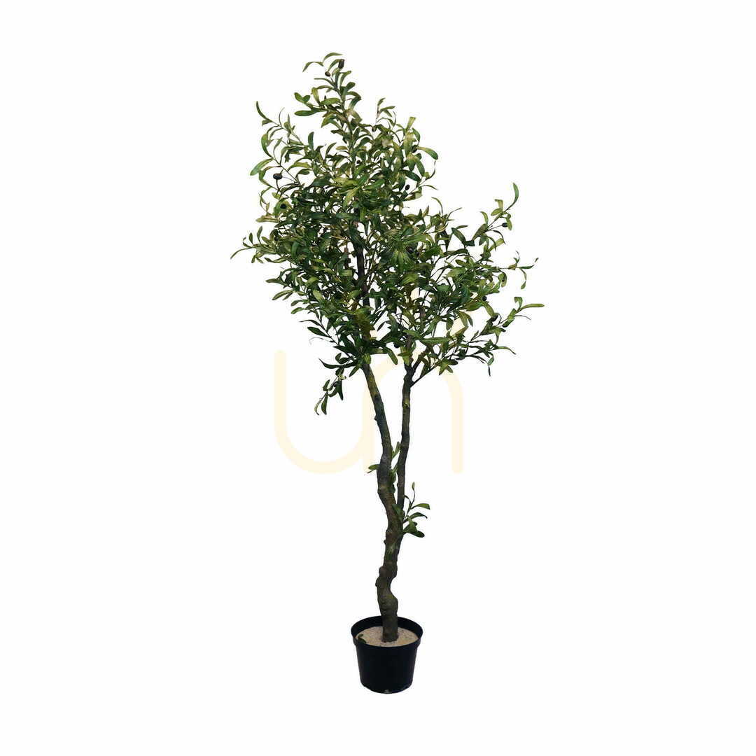 Check Artificial Olive Tree 180cm Artificial Olive Tree 180cm