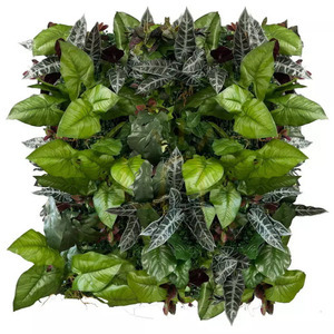 Catalpa Summit vertical garden small 1