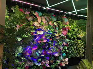 Mamba vertical garden small 3