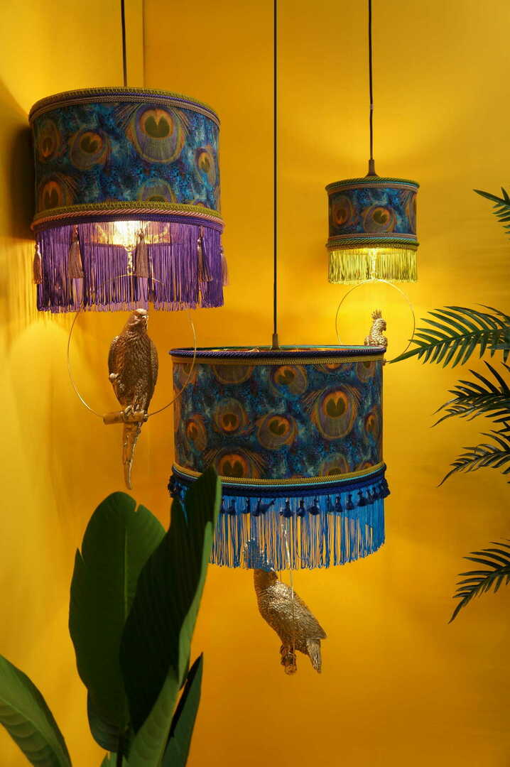 Show FAISAN N°3 Las Plumas FAISAN N°3 Las Plumas
