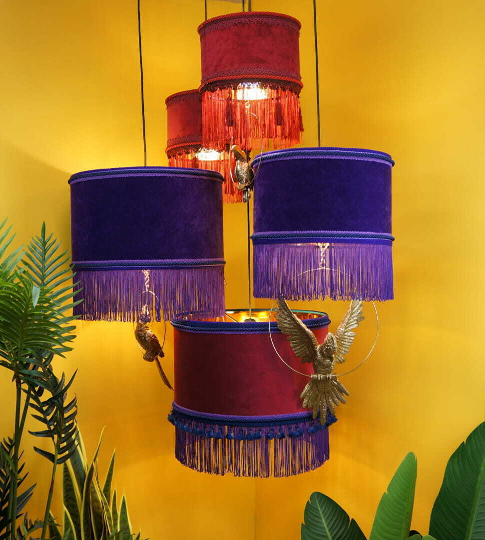 Display CAIMAN Las Plumas CAIMAN Las Plumas
