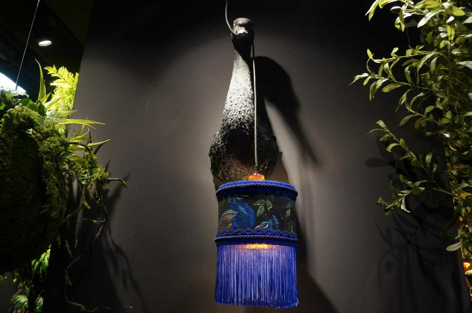 Display Arabela Las Plumas Arabela Las Plumas