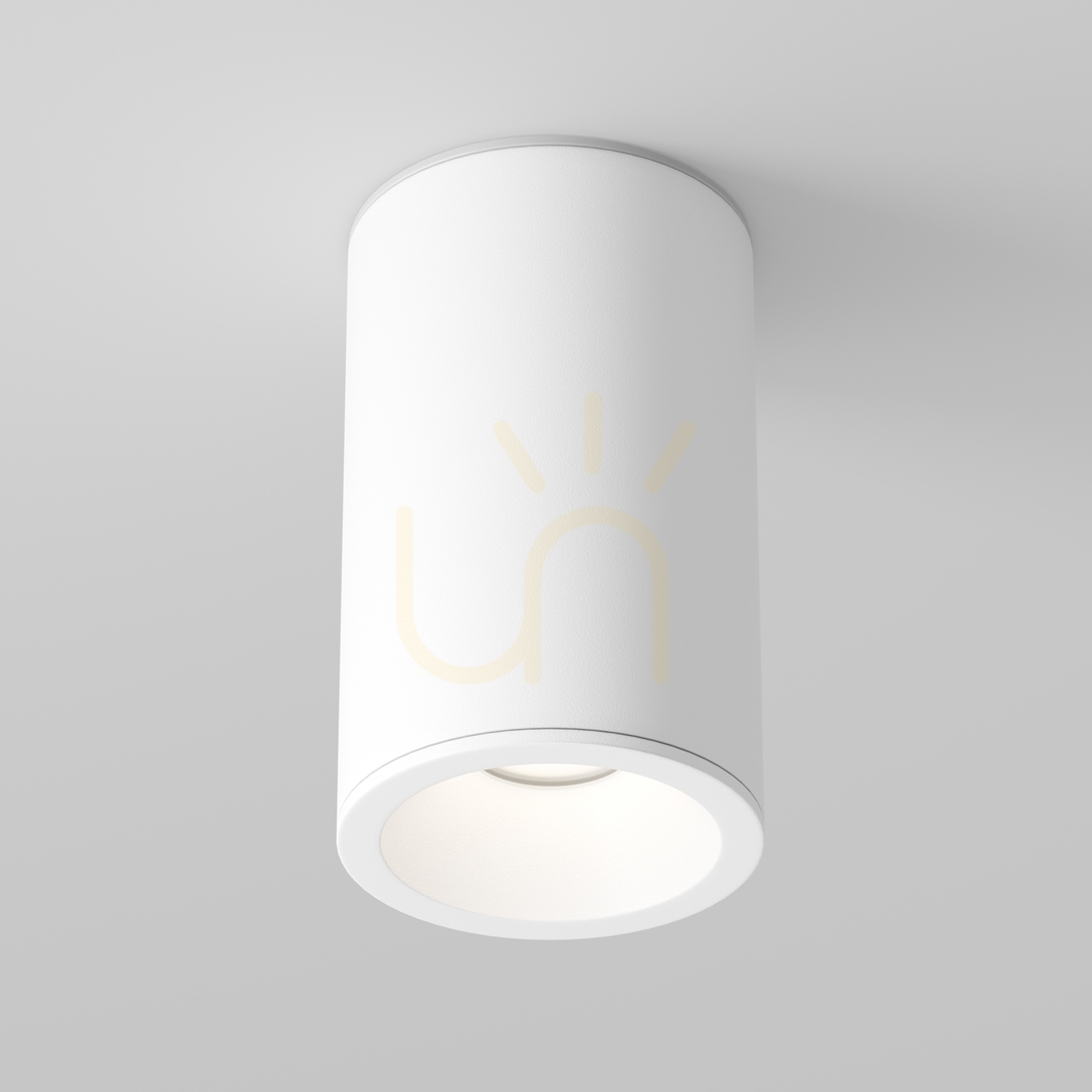 Plafond ZOOM C029CL-01-S-W IP54 Maytoni